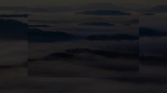 Pengenalan perusahaan